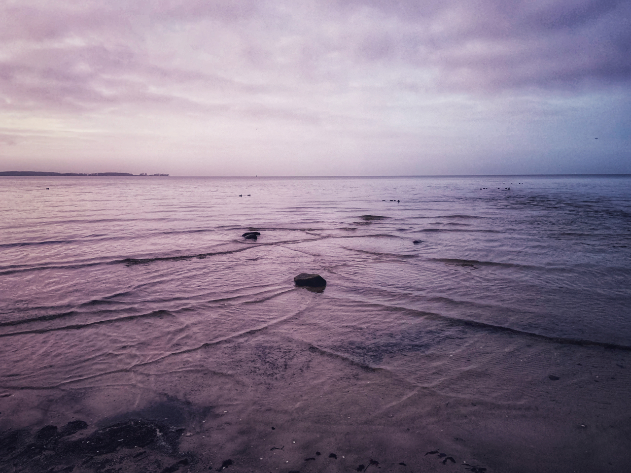 Purple Sea, Purple Sea, …