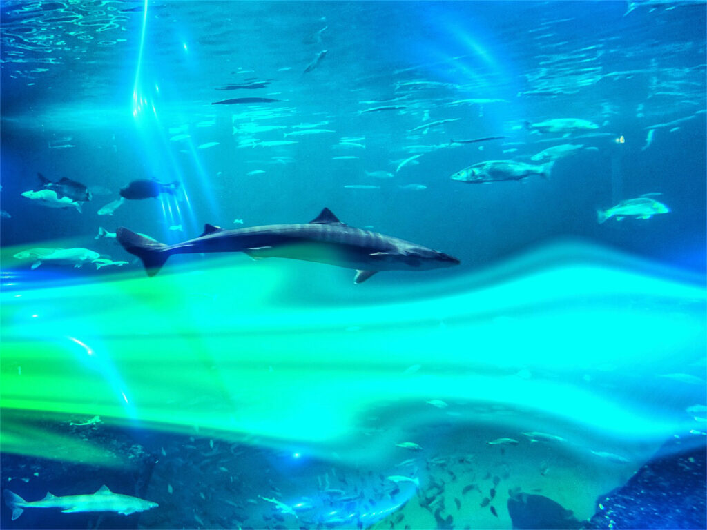Under Water World
